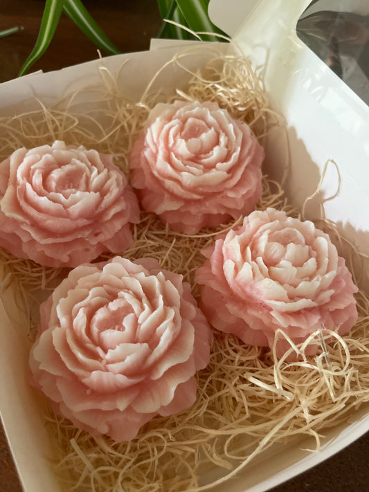 Peony Collection