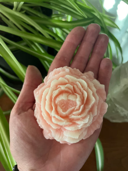 Peony Collection