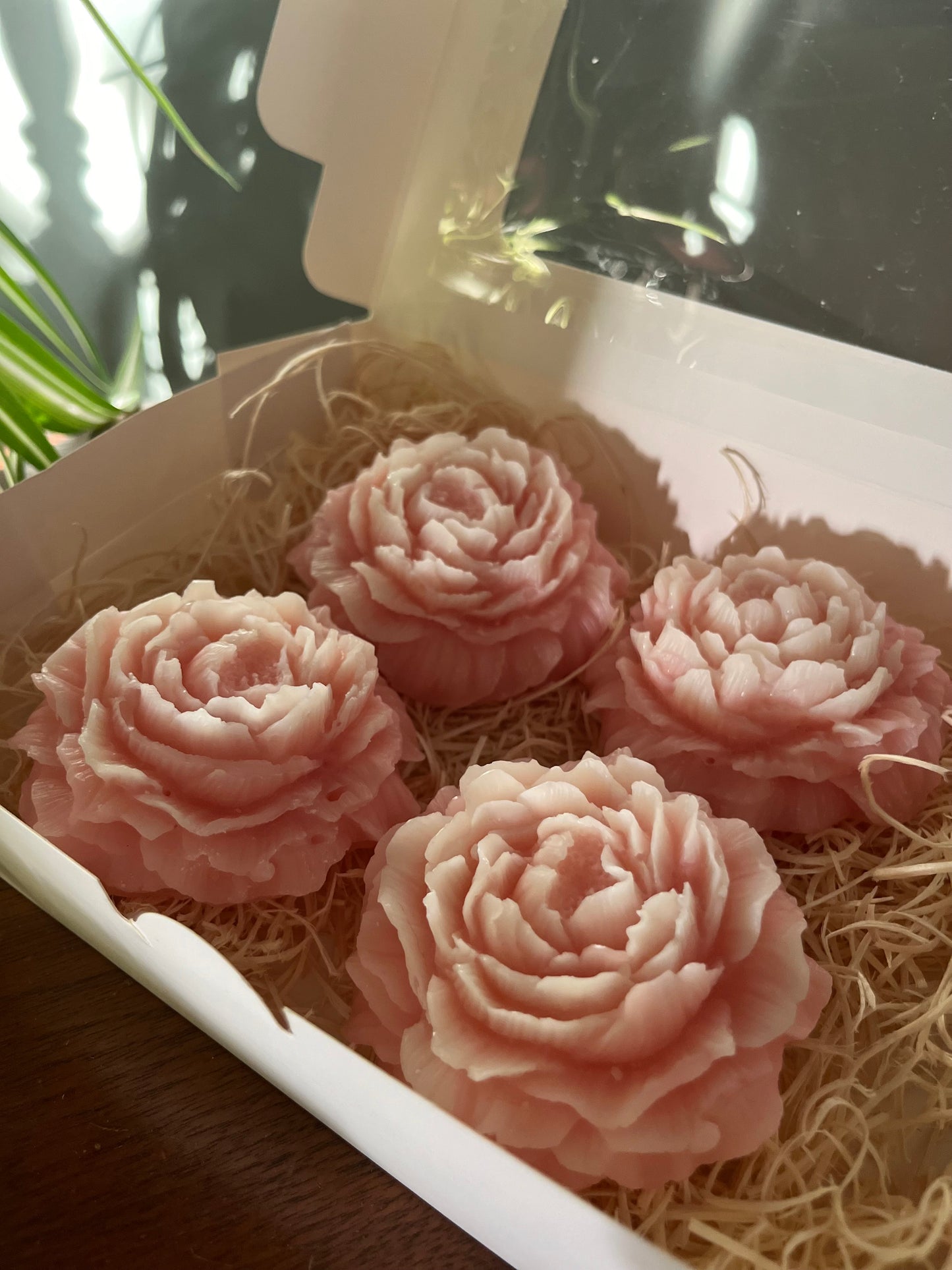 Peony Collection
