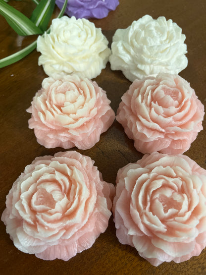 Peony Collection